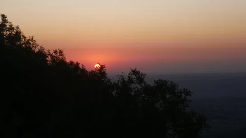 Dawn through the trees on the mountain Stock Photos