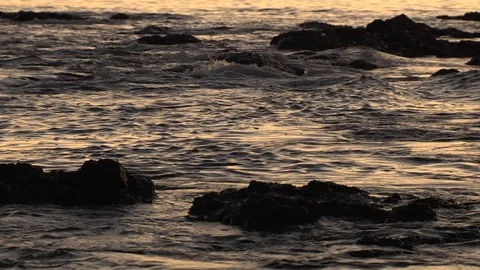 Dawn Tight on Rocks and waves Stock Footage 79081549