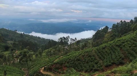 Dawn in valley. Timelapse of tea plantations in Sri Lanka. Stock Footage 61786046