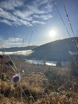 Dawn vertical view Foto stock