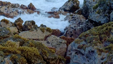 Dawn Waves Tide pool Forming Seaweed Kauai Hawaii Stock Footage 81997913