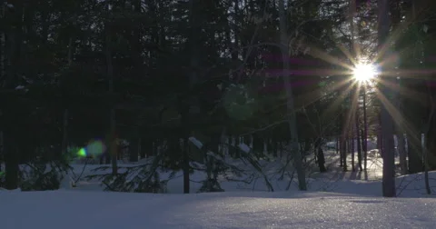 Dawn in winter 4K Stock Footage 48915133