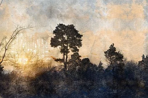 Dawn in a winter forest. The first rays of sunlight on snow-covered trees and Stock Photos