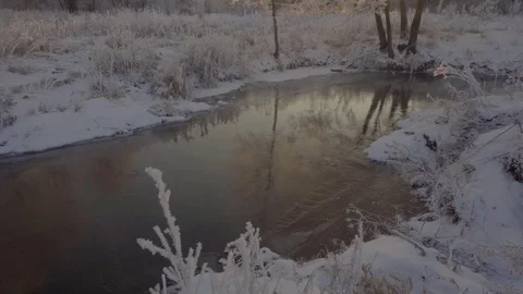Dawn in the winter forest, hoarfrost on the grass Stock Footage 85178337