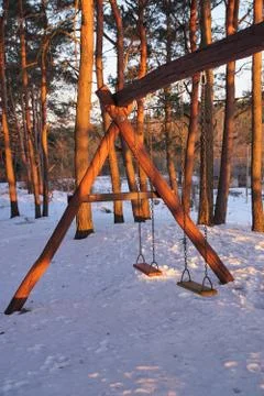 Dawn in the winter forest. Stock Photos