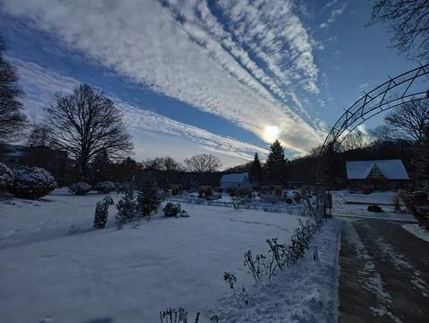 Dawn in a winter park Stock Photos