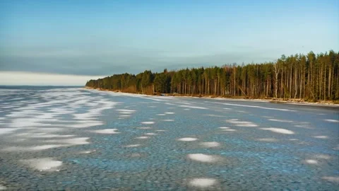 The Dawn of Wintry Caress, Lake First Ice Amidst Vigilant Pine Trees. Aerial Stock Footage 257780306
