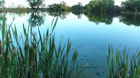 Dawning lake Stock-Footage 34844387