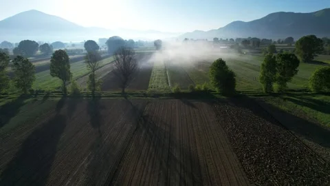 Dawn's First Rays Pierce the Mist over Beautifully Sown Parcels Video stock 274728308