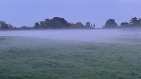Dawn's Tender Light Through Misty Pastoral Vistas Stock-Footage 255865540