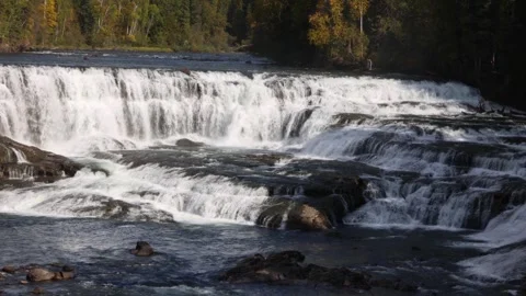 Dawson Falls viewed from a height and distance Stock Footage 251925570