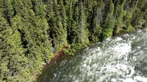 Dawson Falls is a waterfall on the Murtle River in British Columbia Canada Stock-Footage 280383671