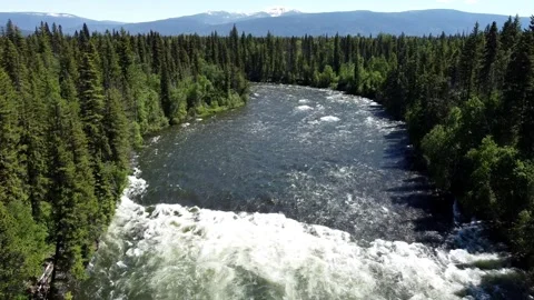Dawson Falls is a waterfall on the Murtle River in British Columbia Canada Stock-Footage 280384575