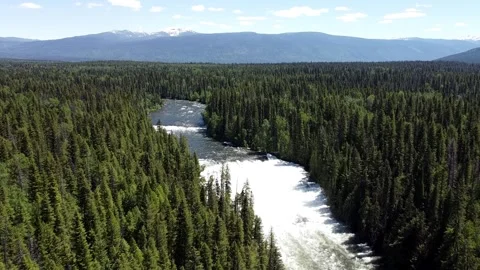 Dawson Falls is a waterfall on the Murtle River in British Columbia Canada Stock-Footage 280386824