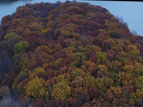 Dawson Lake in Fall Stock Footage 84868739