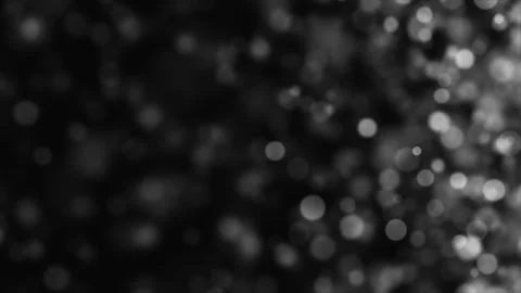 Day 1-891 Видео 331925558