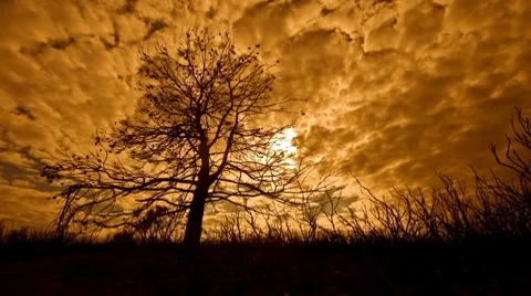 Day after the fire Stock Footage