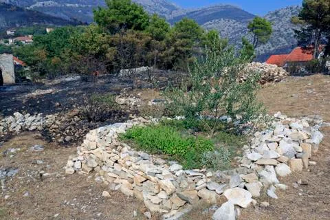 Day after fire Stock Photos