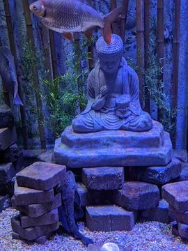 Day at the Aquarium Stock Photos