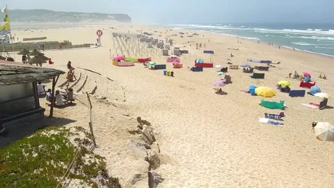 Day At The Beach Stock Footage 172420342