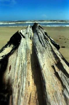 A DAY AT THE BEACH Stock Photos