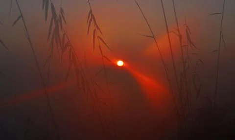 Day break Stock Photos