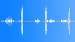 Day chorus of vietnam junglesSound Effect