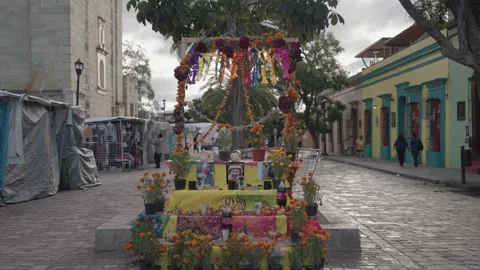 Day of The Dead Dia de los Muertos Ofrenda Altar Street Oaxaca Mexico Stock Footage 256094007