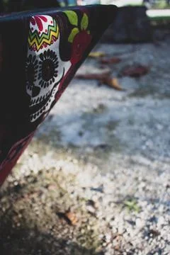 Day of the dead mexico Stock Photos