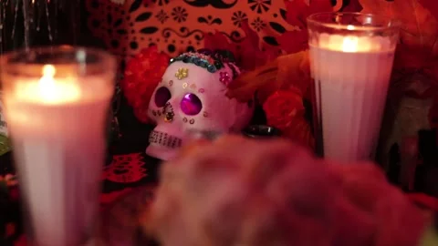 Day of the dead offering 006 Stock Footage 170514699