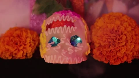 Day of the dead offering 009 Stock Footage 170514767