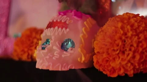 Day of the dead offering 010 Stock Footage 170514811