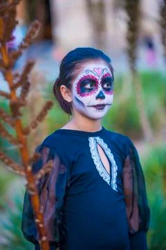 Day of the Dead Stock Photos