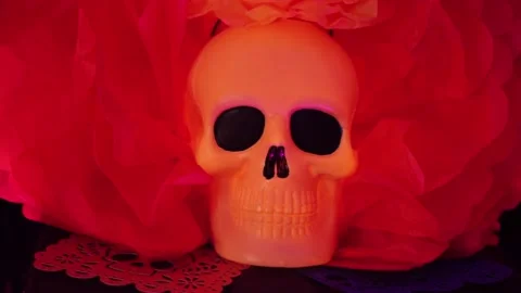 Day of the dead skull 002 Stock Footage 170515483