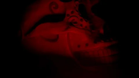 Day of the Dead Skull bathed in red light turns to camera close up Stock Footage 114086640