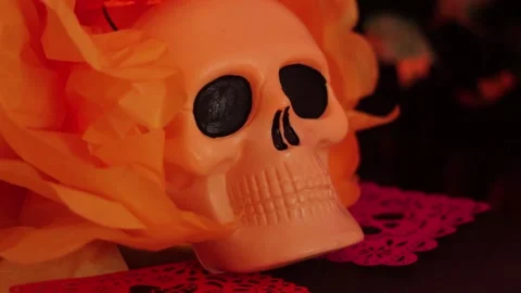 Day of the dead skull Stock Footage 170515536