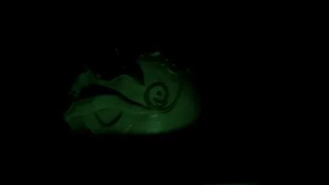 Day of the dead skull turns to face us as light changes colours in rainbow Stock Footage 114086926