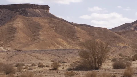 A Day in the Desert Stock Footage 113193311