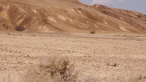 A Day in the Desert Stock Footage 113193860