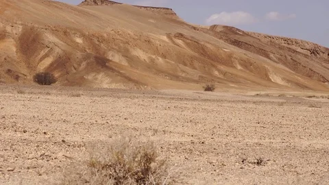 A Day in the Desert Stock Footage 113194245