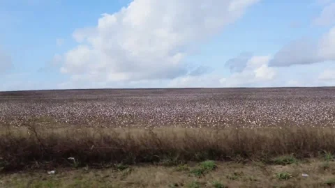 Day driving #1 Video stock 240974936