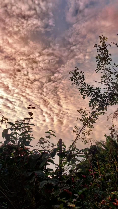 Day To Dusk, Vertical View Video stock 312550215