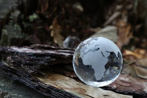 Day of Earth concept with space for text, glass globe in nature Stock Photos