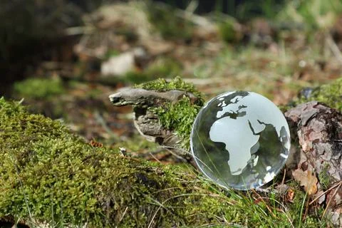 Day of Earth concept with space for text, glass globe in nature Stock Photos