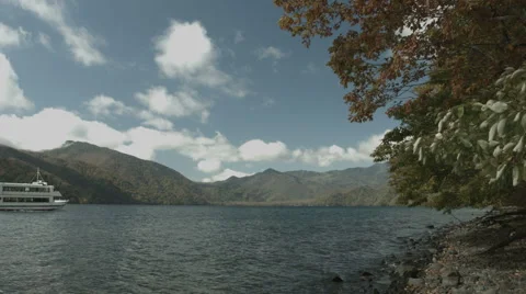 Day of fall, non color graded Full HD (1920x1080) Stock Footage 43069442