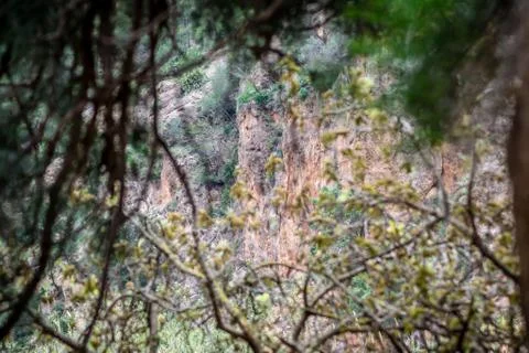 Day in the forest Stock Photos