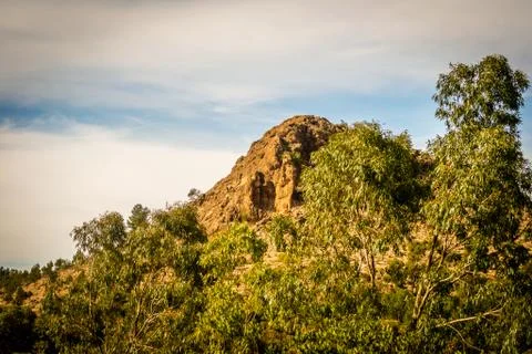 Day in the forest Stock Photos