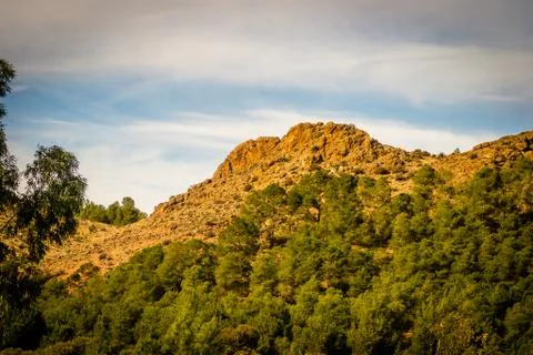 Day in the forest Stock Photos