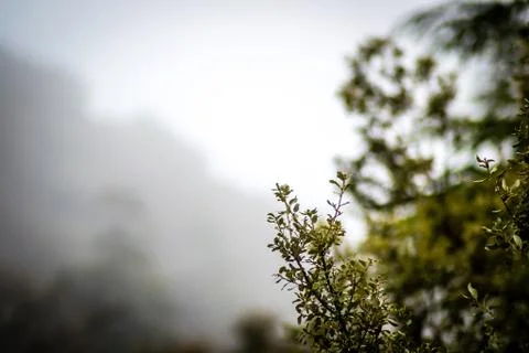 Day in the forest Stock Photos