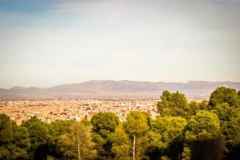 Day in the forest Stock Photos